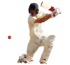 cricket-4-white