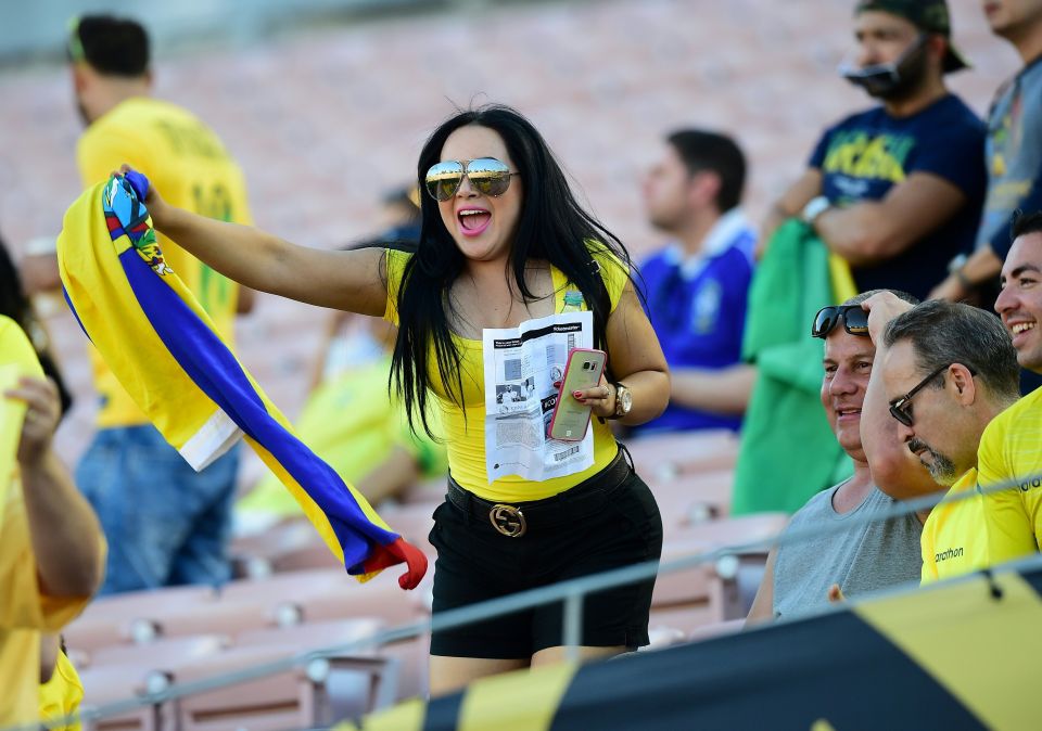 Ecuadoran supporters cheer for their tea