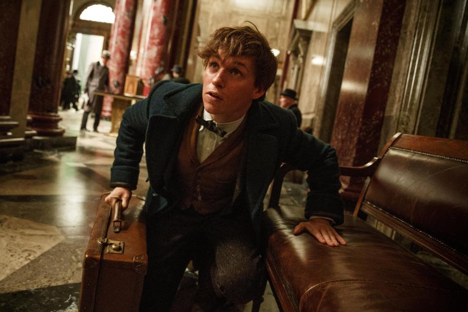  Fantastic Beasts and Where to Find Them, available 1 September on Sky Cinema