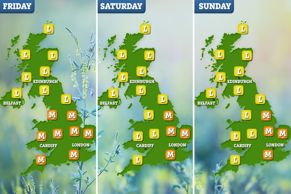  Pollen levels will rise across England and Wales tomorrow lowering in places over the weekend