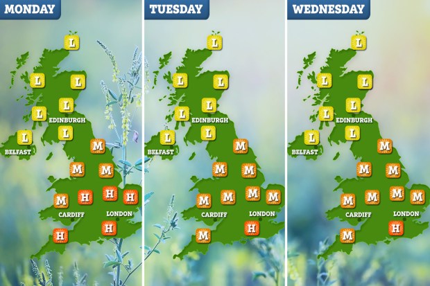Vaseline at the ready - this week is set to be a pollen nightmare for millions
