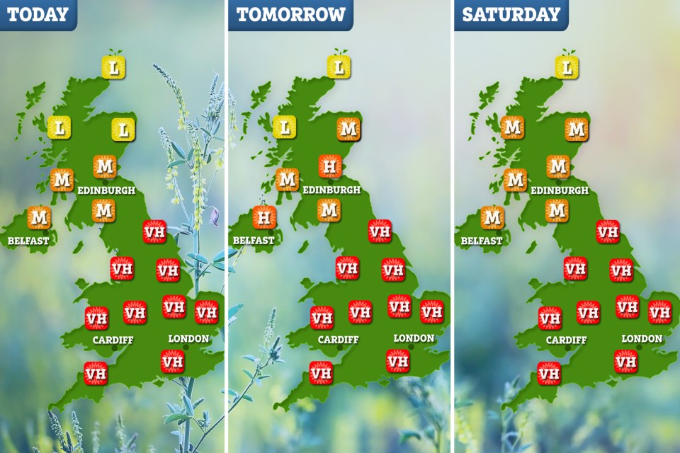  The pollen forecast for the next few days shows levels remain at their highest for most of the country
