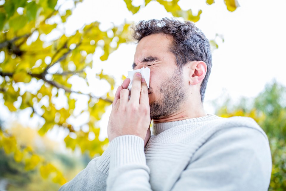  Experts say some people may confuse symptoms of hay fever for those of Covid-19