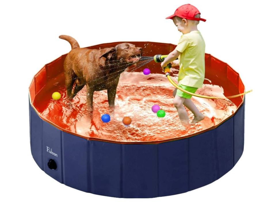 dog paddling pools