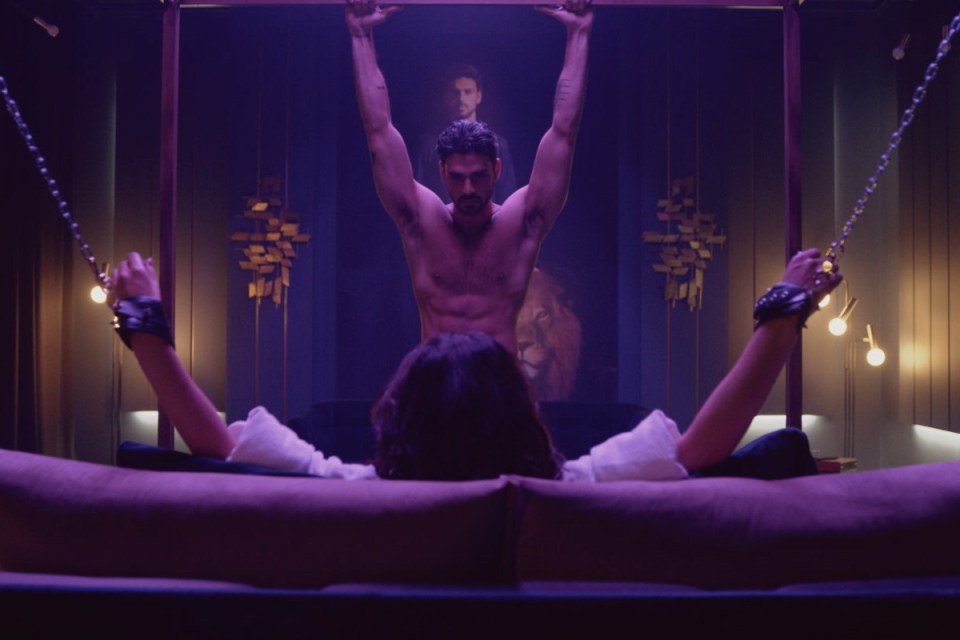  The sex scenes inclue BDSM and voyeurism