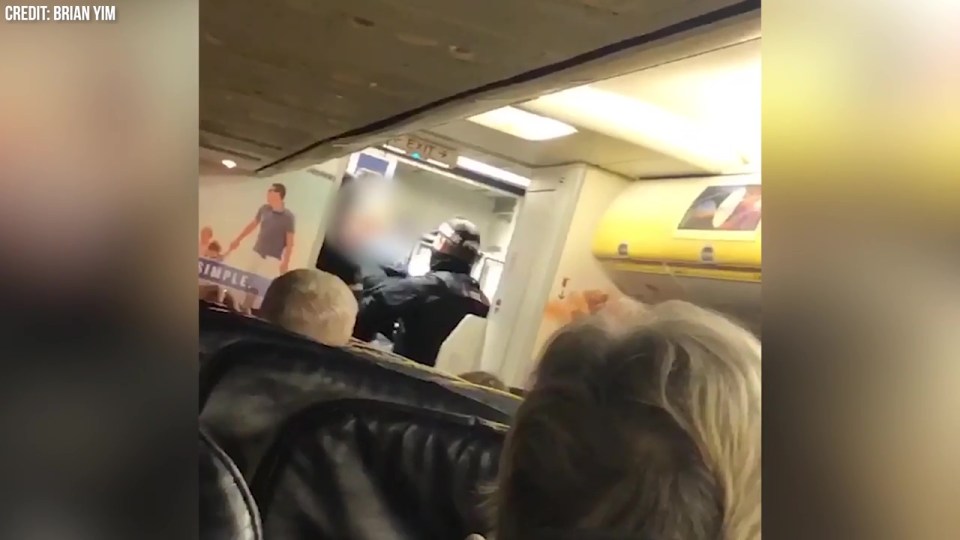 The drunken passenger drank nearly a litre of vodka