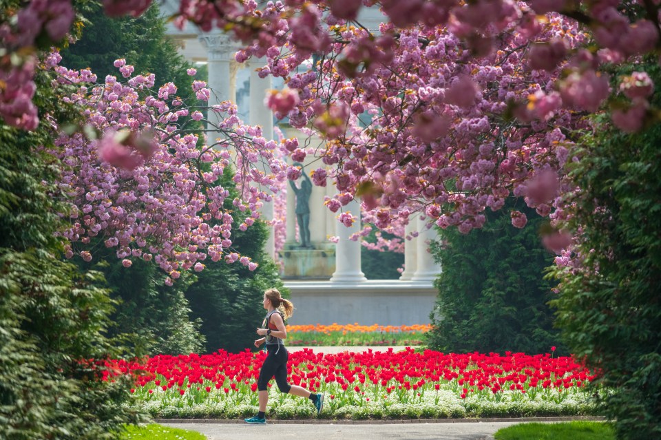 Spring sees flowers blossom and lighter evenings remind us that summer is on its way