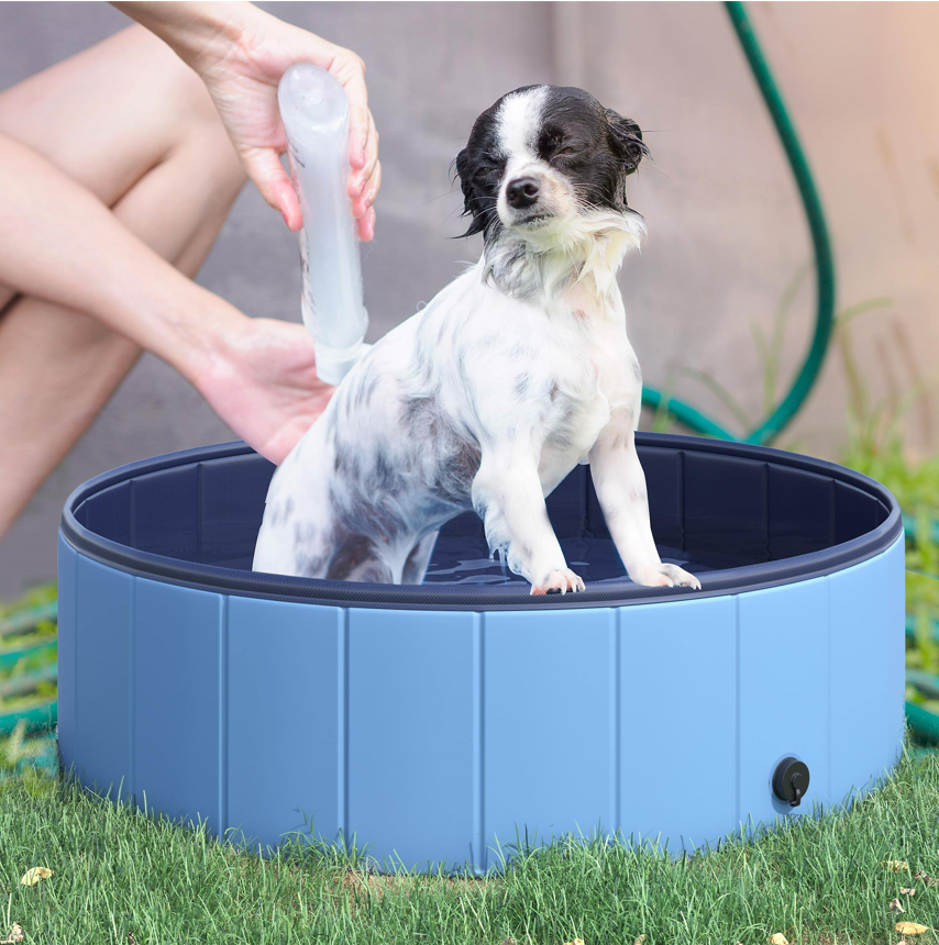 dog-pool