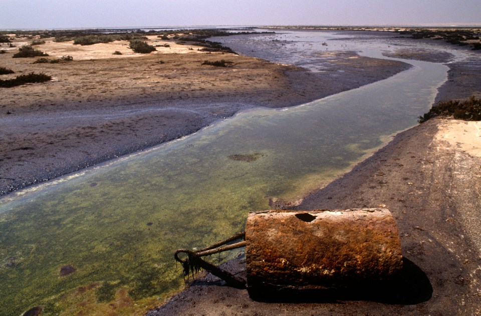 The area where Neom is being built is a barren costal area populated by tribes which are being displaced, reports say