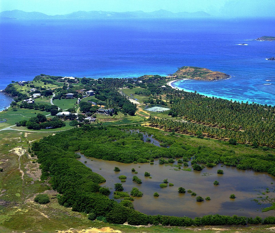 The pair got married on the beautiful Caribbean island of Mustique