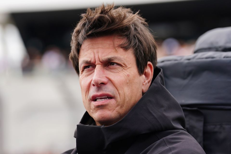Wolff grew up in Austria in less than affluent circumstances