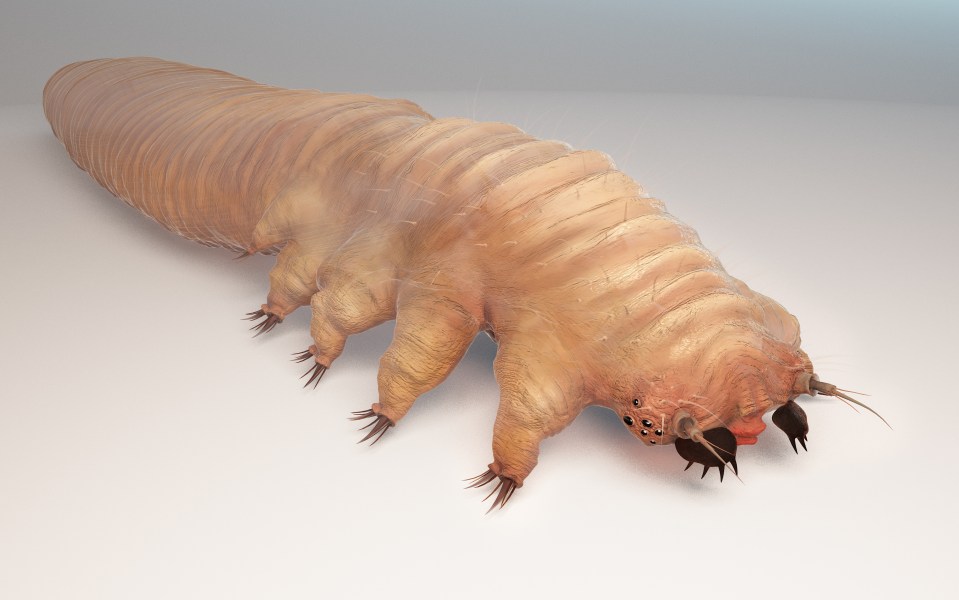 a 3d model of a worm with sharp claws
