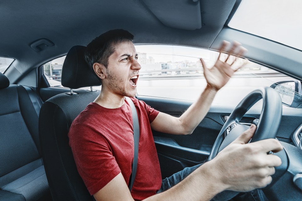 Even swearing in the midst of road range can see you slapped with a fine and points on your licence