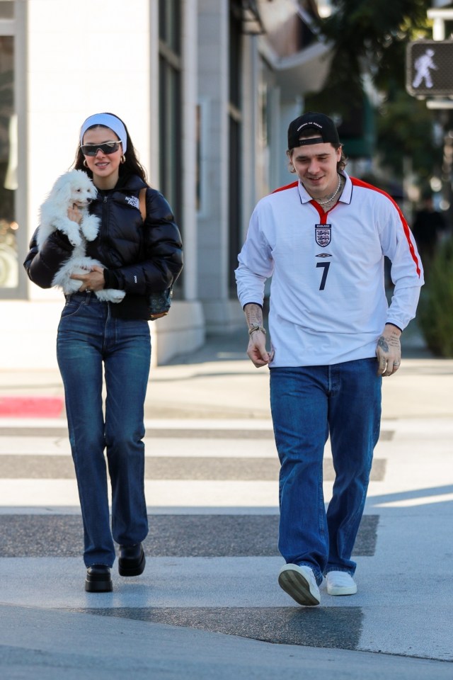 Nicola and Brooklyn were spotted out with their beloved pooch in LA