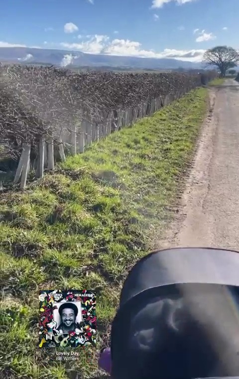 The TV presenter appeared in good spirits as she enjoyed a country walk