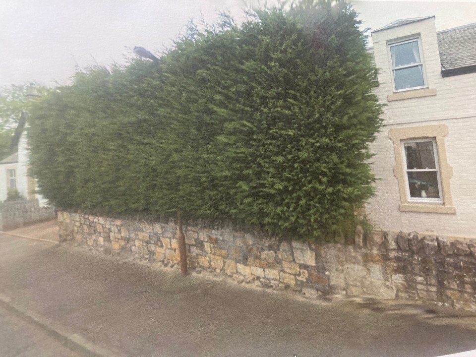 The privacy fence replaced a 20ft-tall hedge which blocked out sunlight