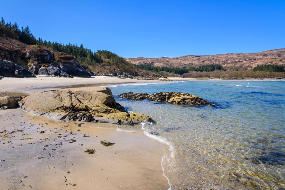 The beach is remote and backs onto a forest in the Ardnamurchan peninsula