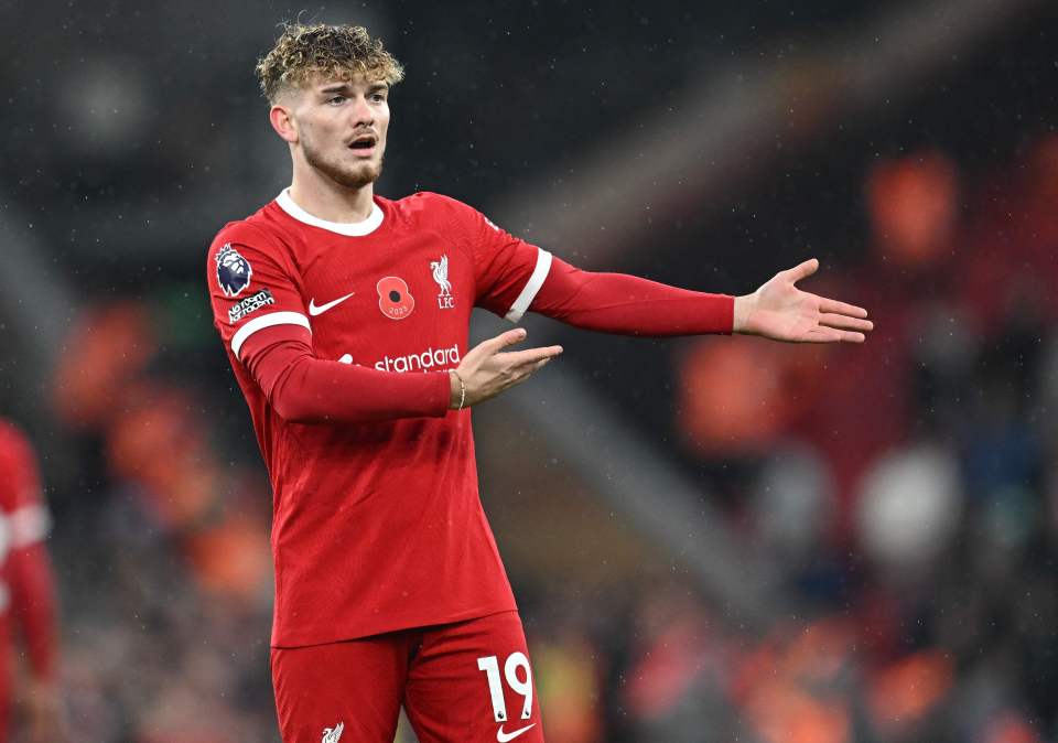 Harvey Elliott is a regular for Liverpool now after leaving Fulham