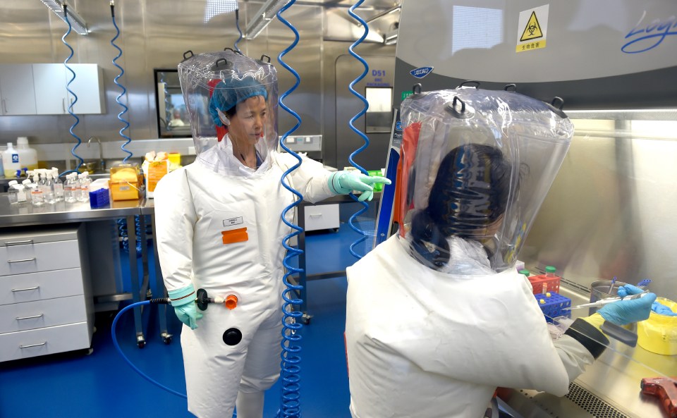 Shi Zhengli - also known as 'Batwoman' for her experiments on bat coronaviruses - at the Wuhan lab