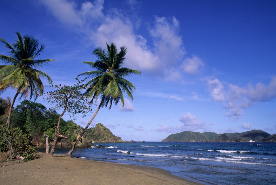 The British tourist was attacked by a shark while swimming off Tobago