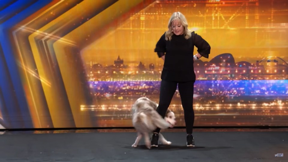 She said one auditionee over the weekend had been the "best dog act ever"