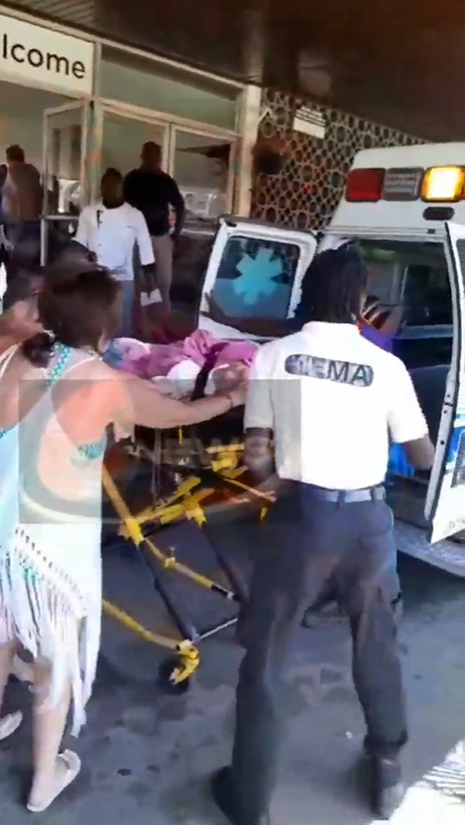 Witnesses said they believed the bull shark was up to 10 feet long and two feet wide