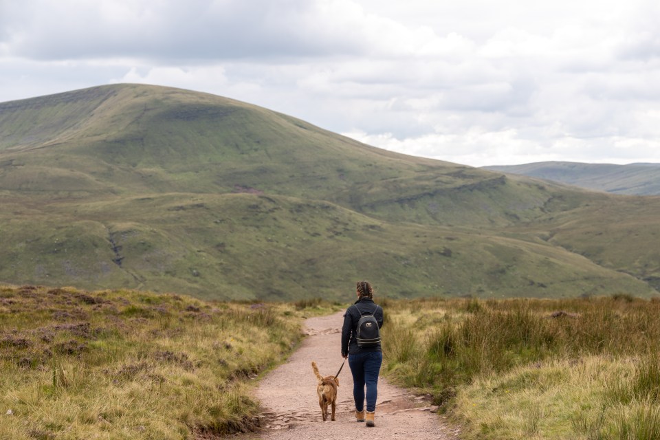 a woman walking a dog down a path with mountains in the background
