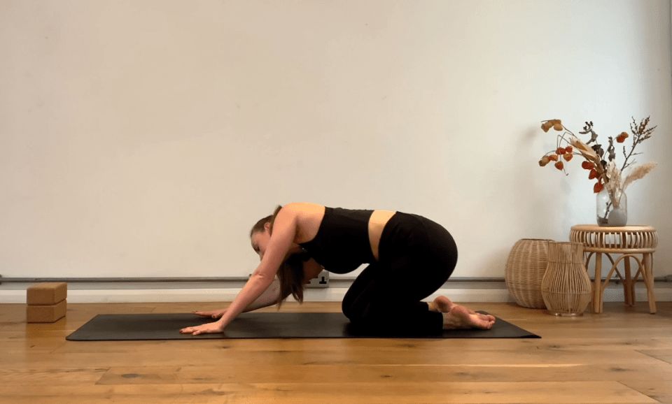 Spinal circles, moving the hips in a rotation, forwards and backwards