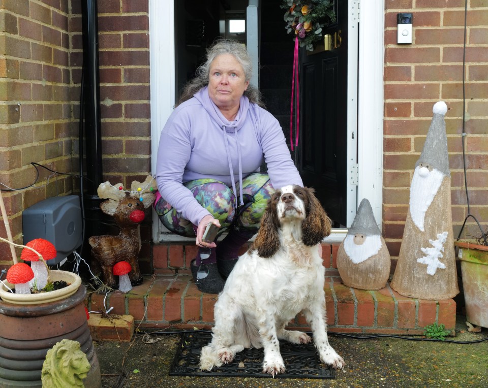 Mrs Julie Sparks-pictured previously opposed the fence
