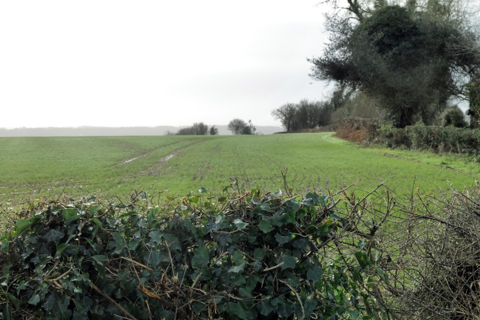 Locals feared the structure would ruin the natural beauty of the countryside