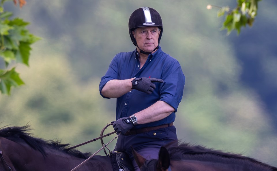 a man riding a horse wearing a helmet that says uvex