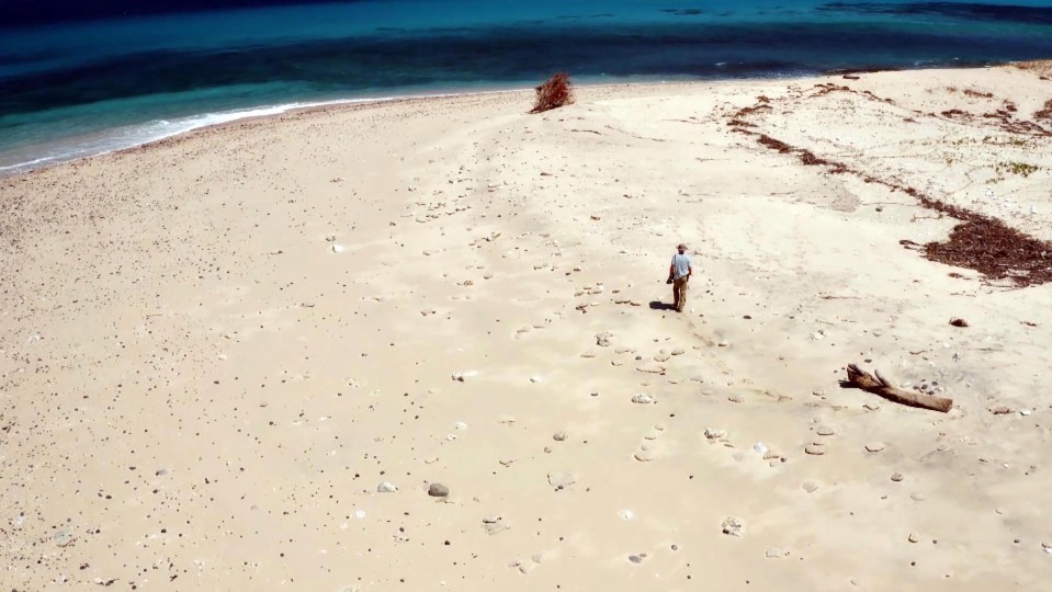 a man stands on a sandy beach near the ocean