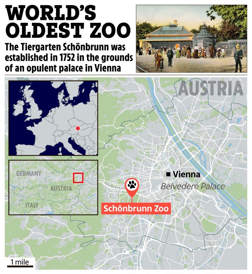 the world 's oldest zoo was established in 1752 in the grounds of an opulent palace in vienna