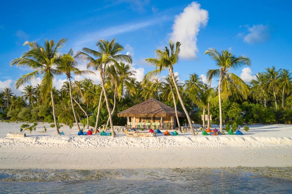a thatched hut sits on a sandy beach surrounded by palm trees
