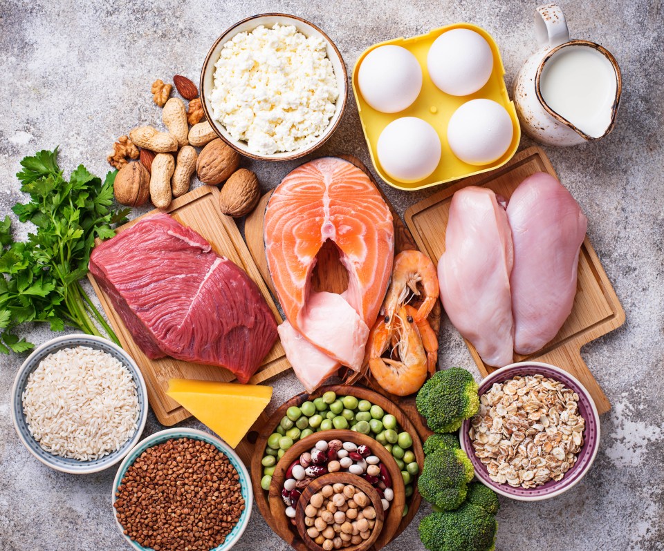 a variety of protein sources including meat eggs and grains