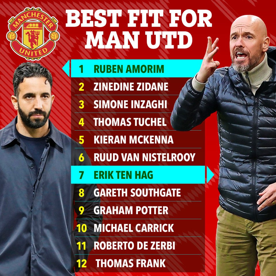 a manchester united poster shows the best fit for man utd
