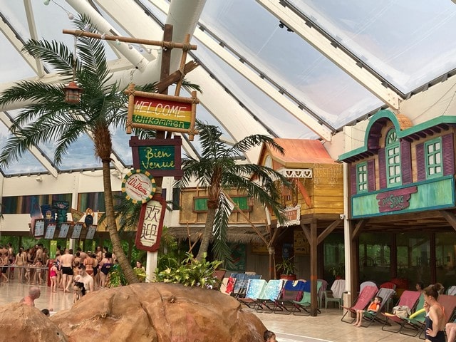 a sign that says " bienvenue " hangs from a palm tree
