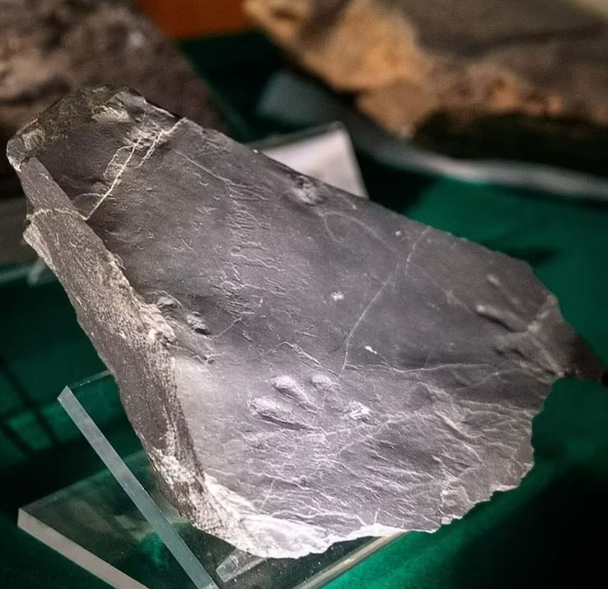 a piece of slate is displayed on a glass stand