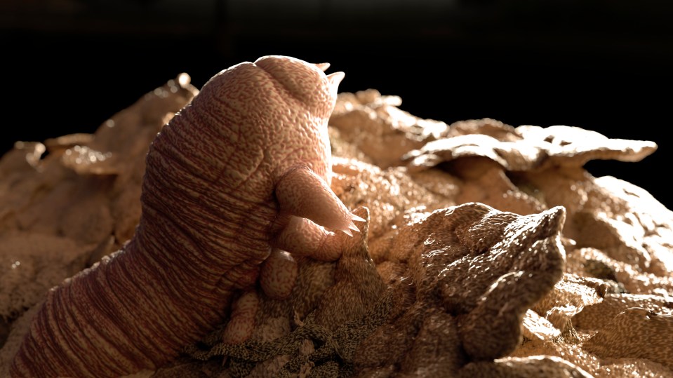 a close up of a rock with a claw on it