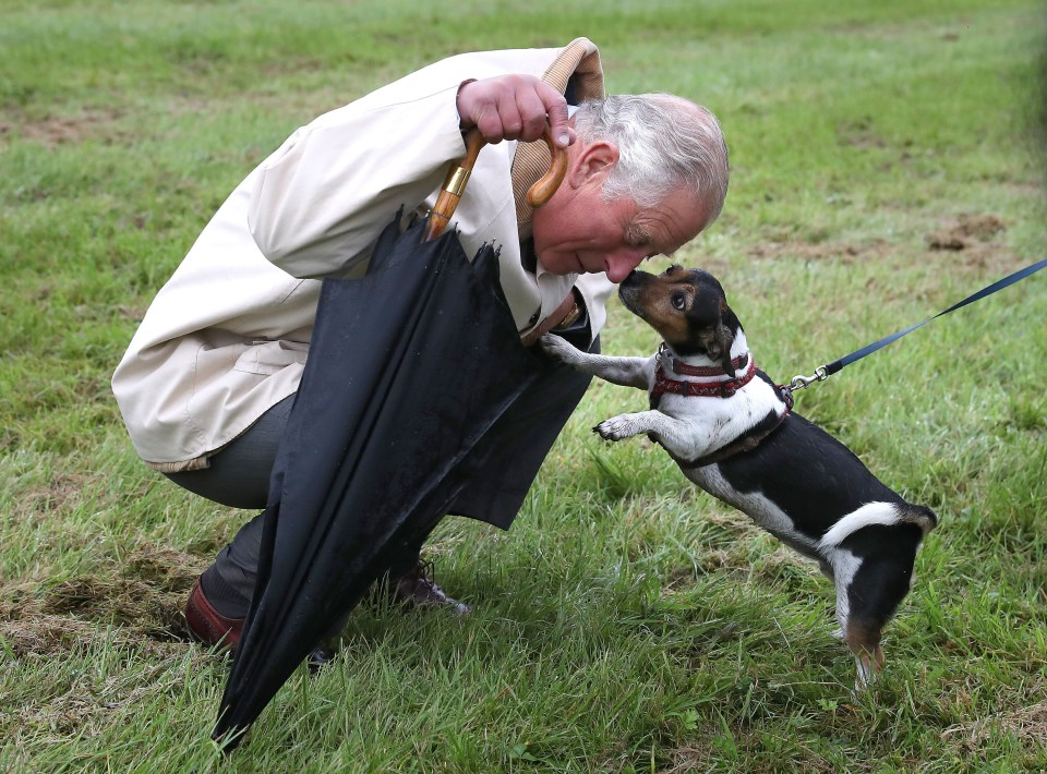King Charles was also said to be attached to rescue Jack Russell Beth