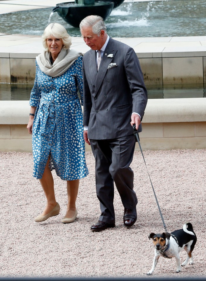 Camilla got Beth from Battersea Dogs and Cats home