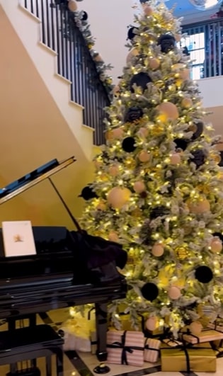Amanda put her Christmas tree up in her new £7m home last month