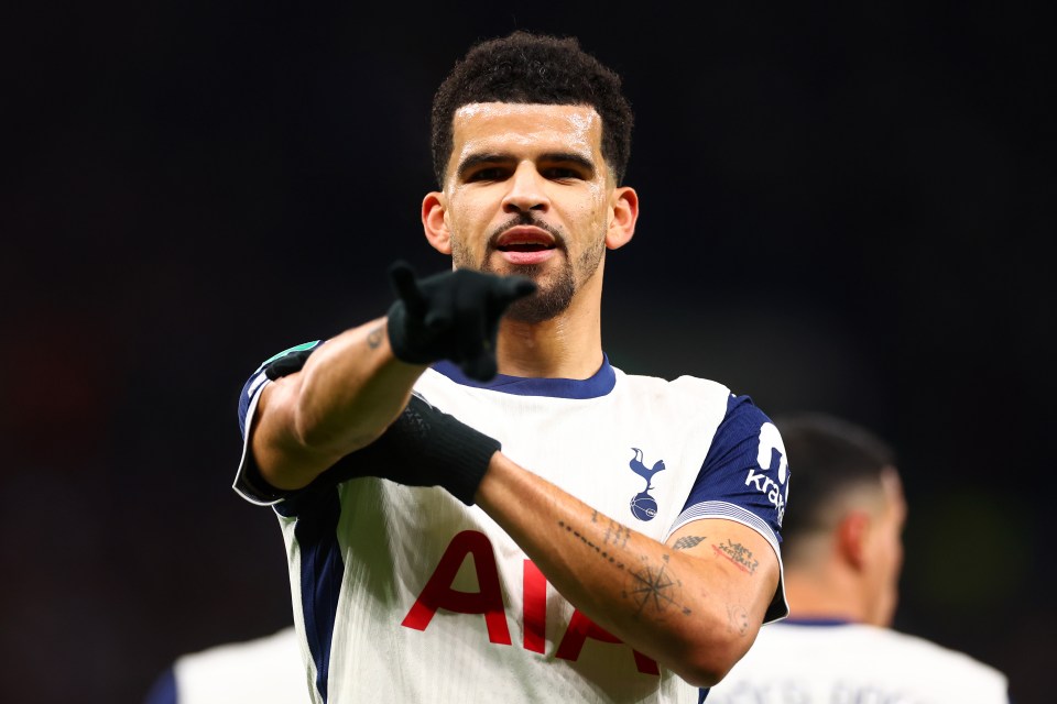 Dominic Solanke of Tottenham Hotspur celebrates scoring a goal.