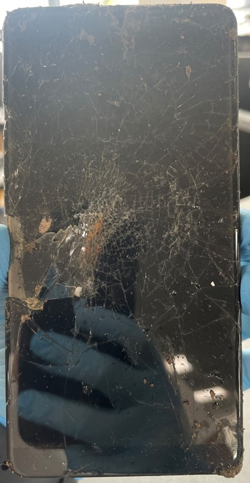 Damaged mobile phone found buried in a cat's grave.