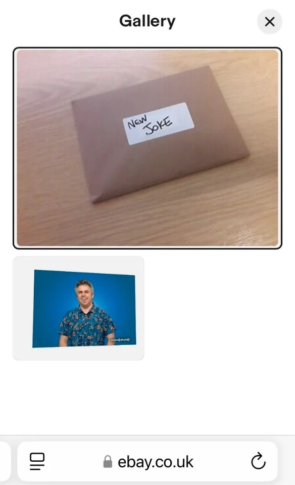 eBay listing for a sealed, previously untold dad joke.