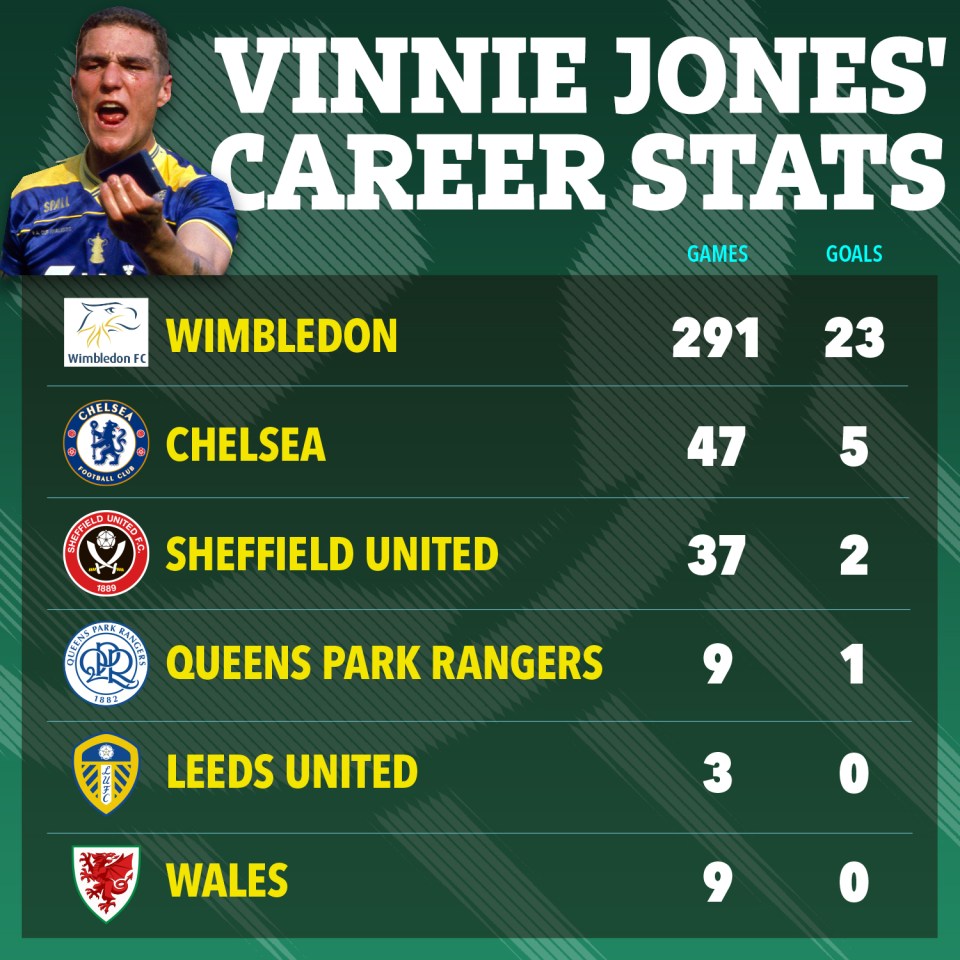 Vinnie Jones' career stats: games and goals for Wimbledon, Chelsea, Sheffield United, Queens Park Rangers, Leeds United, and Wales.