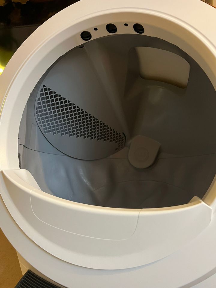 Interior of a self-cleaning litter box.