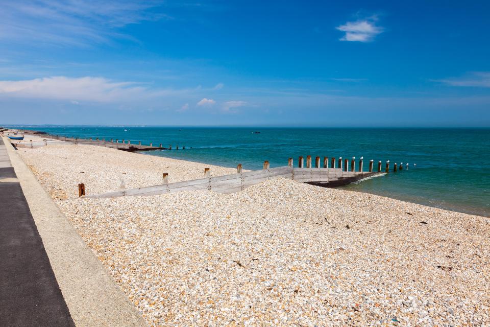 Shingle beach at Selsey Bill, West Sussex, with wooden groyne and seagulls.