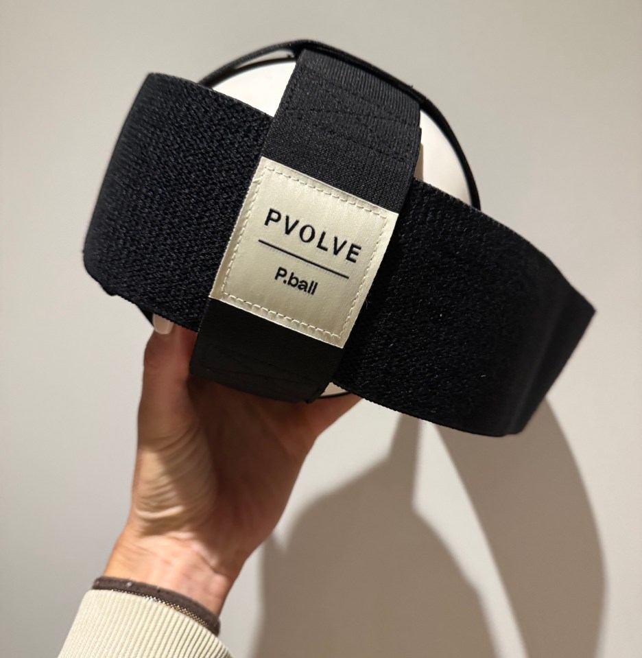 P.ball by Pvolve.