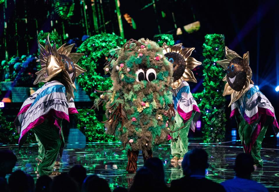 Masked Singer contestants: Bush and three Sunflowers.